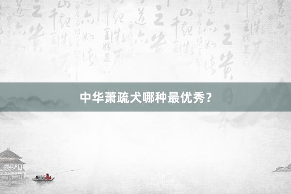 中华萧疏犬哪种最优秀？