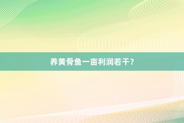 养黄骨鱼一亩利润若干？
