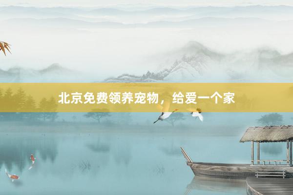 北京免费领养宠物，给爱一个家