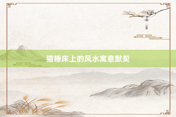 猫睡床上的风水寓意默契